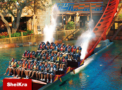 Busch Gardens Tampa Single Day - Acima de 3 anos